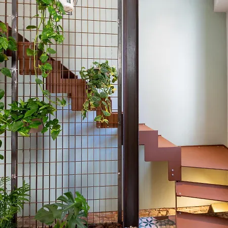 Terracielo. B&B 파엔차