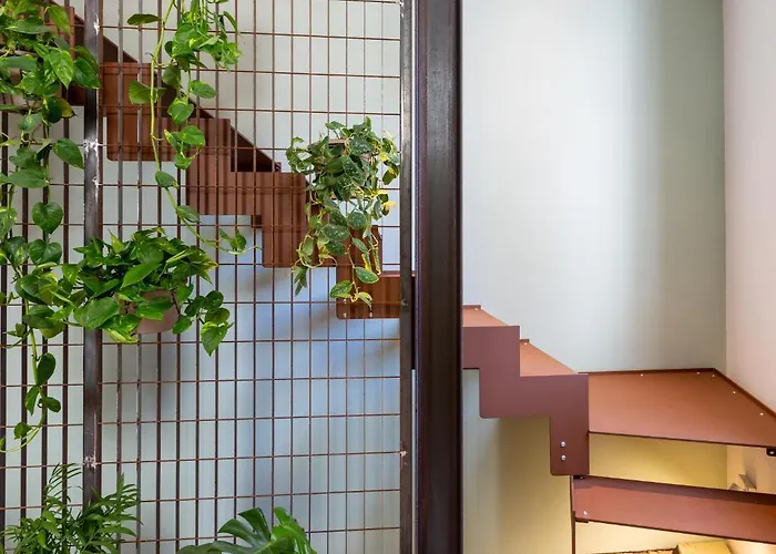 Terracielo. B&B 파엔차